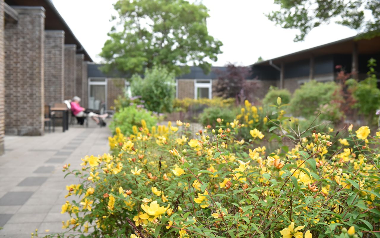 Blomster på Plejecenter Tirsdalen