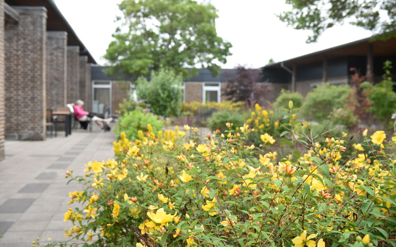 Blomster på Plejecenter Tirsdalen