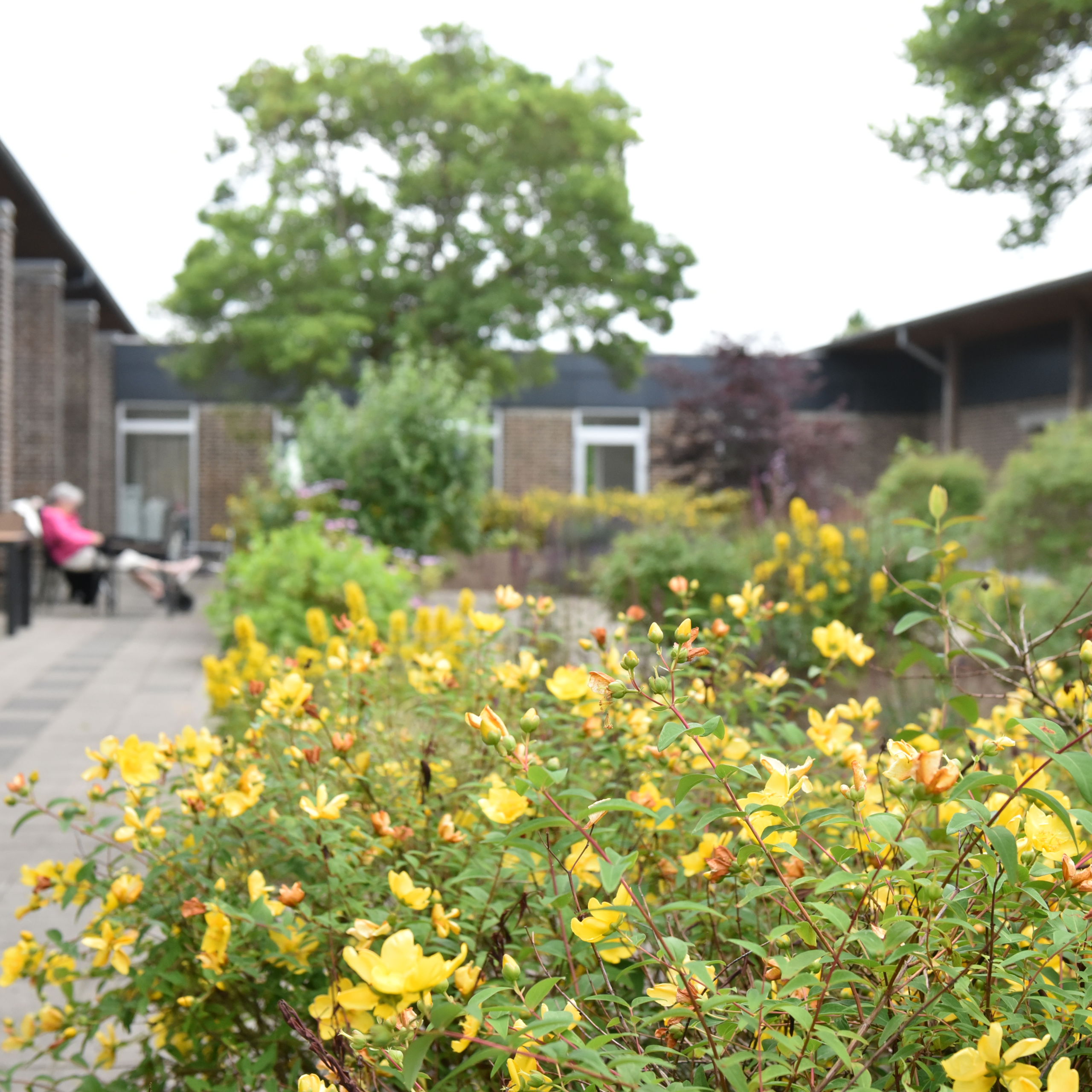 Blomster på Plejecenter Tirsdalen