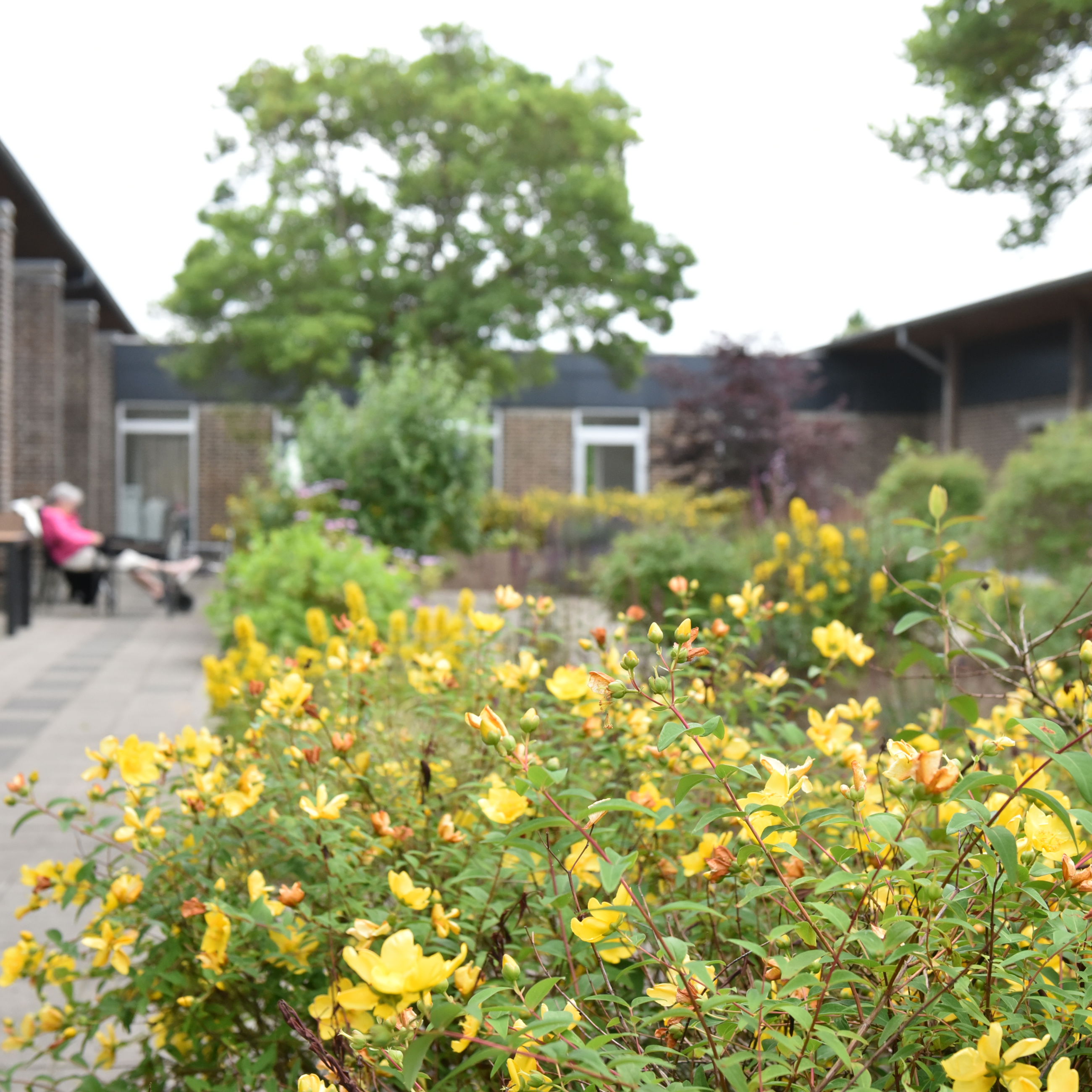 Blomster på Plejecenter Tirsdalen