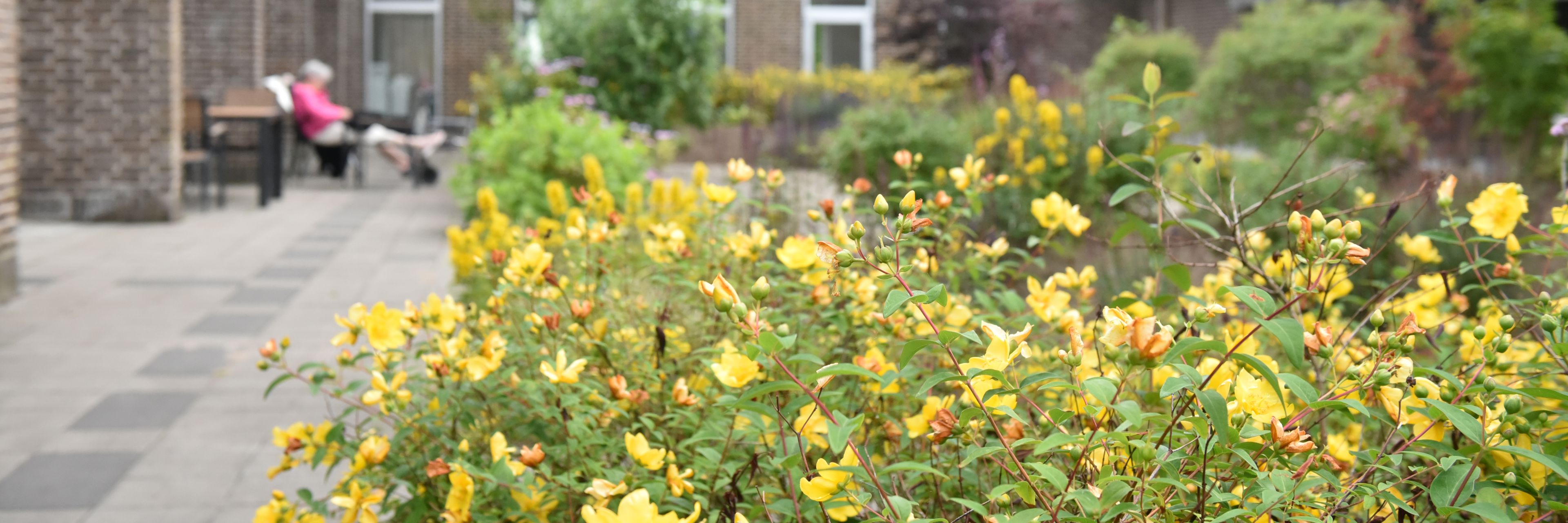 Blomster på Plejecenter Tirsdalen
