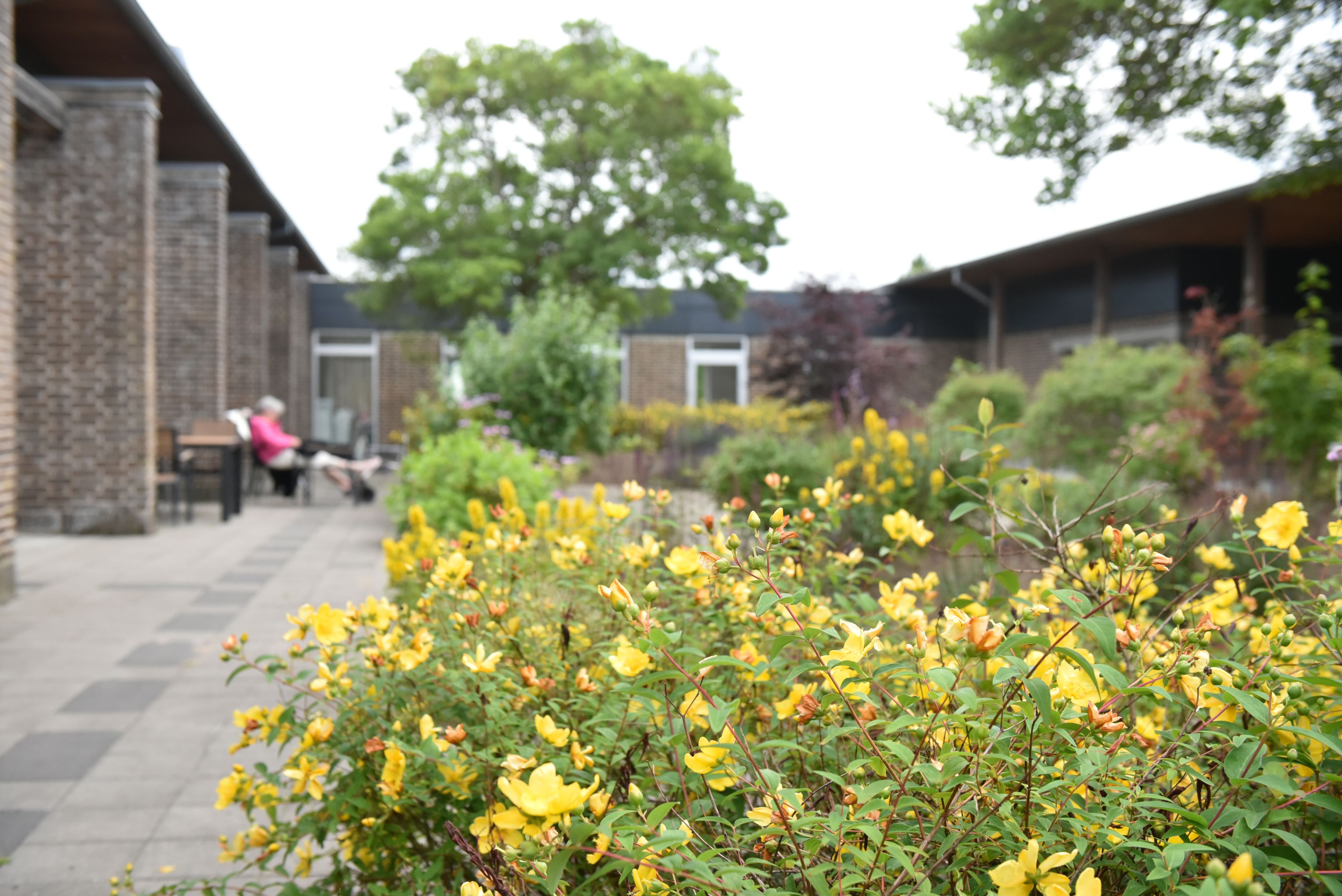 Blomster på Plejecenter Tirsdalen