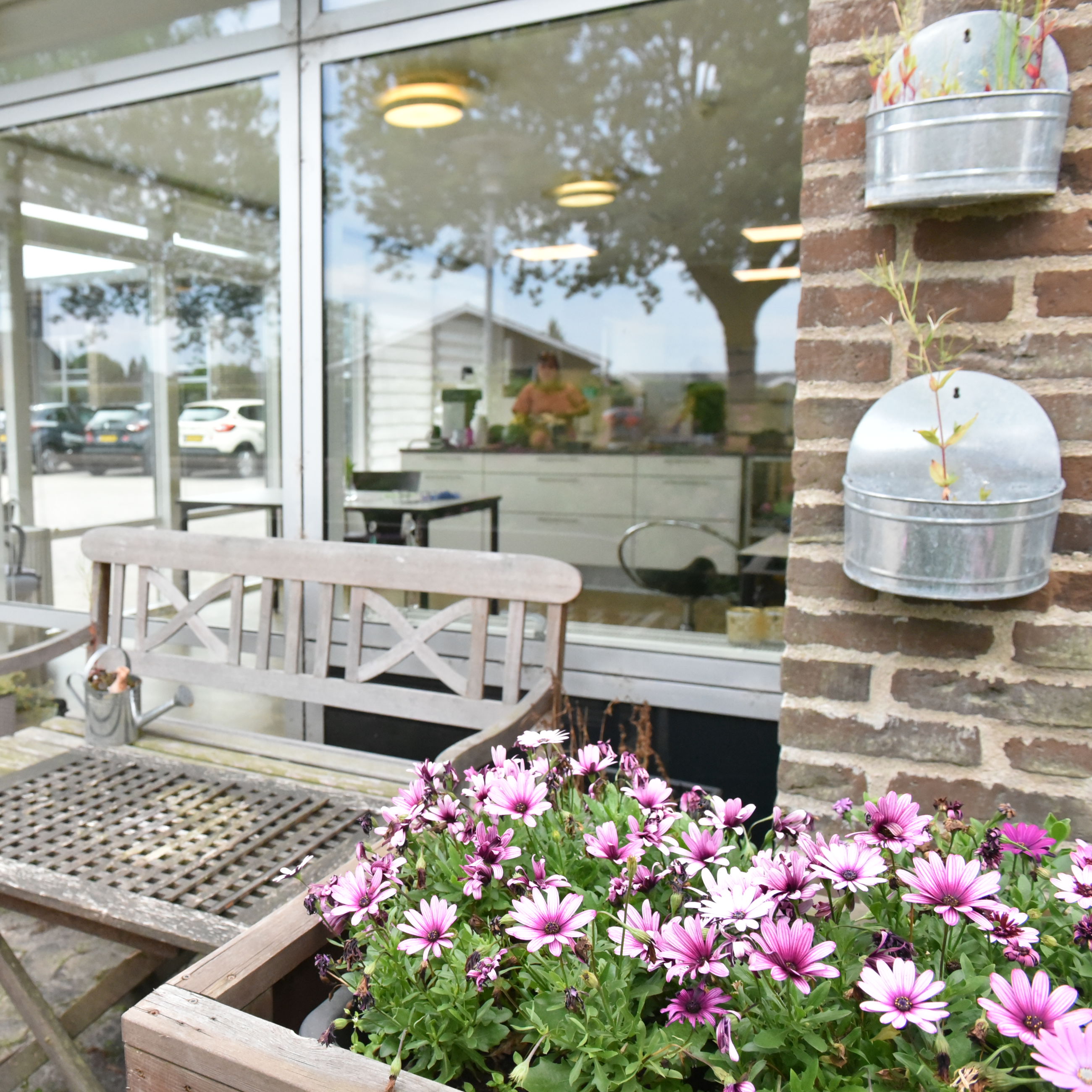 Blomster på Plejecenter Tirsdalen