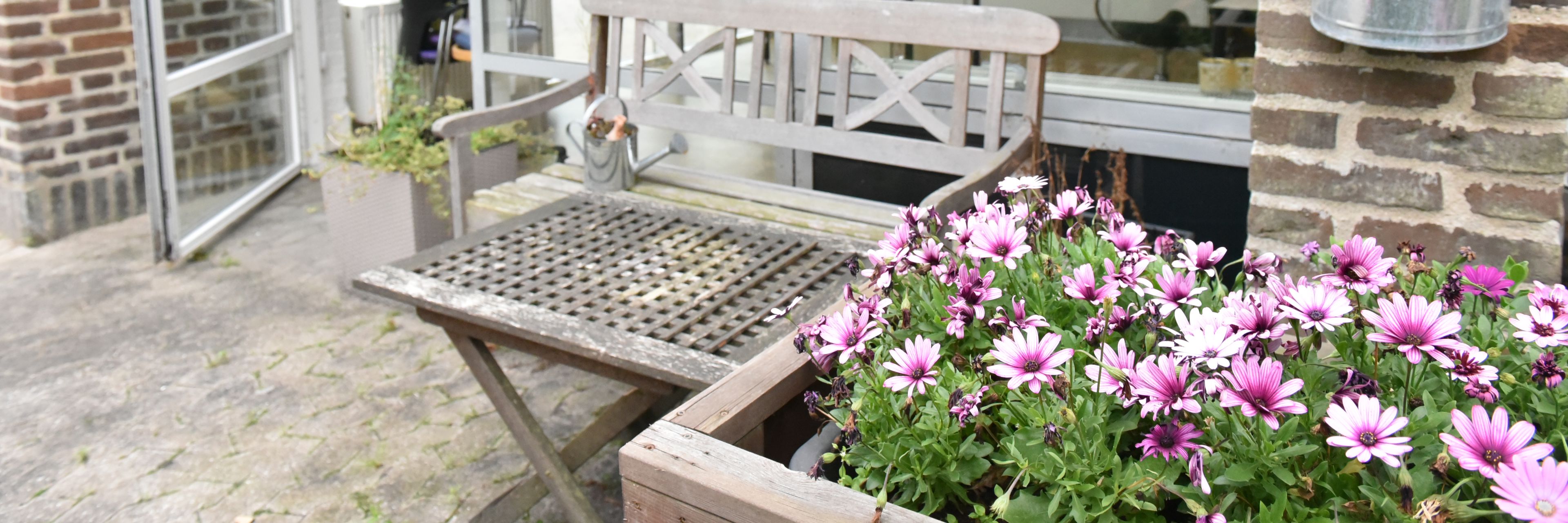 Blomster på Plejecenter Tirsdalen